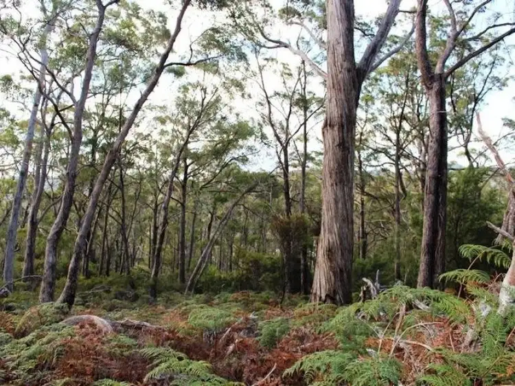 Fifth view of Homely land listing, LOT Office SA, Lot 1 Sandhill Road, Cradoc TAS 7109