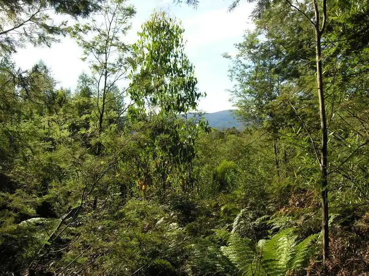 Seventh view of Homely land listing, Lot 1 Off Weld Road, Lonnavale TAS 7109