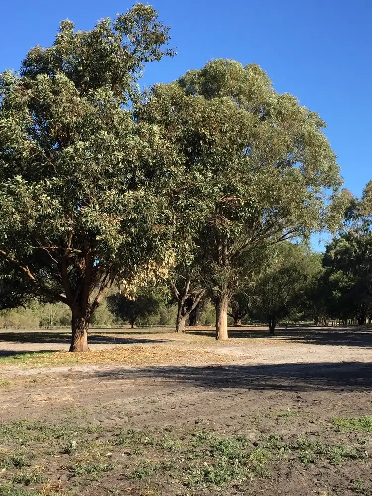 Second view of Homely land listing, Lot 151 Doghill Road, Baldivis WA 6171