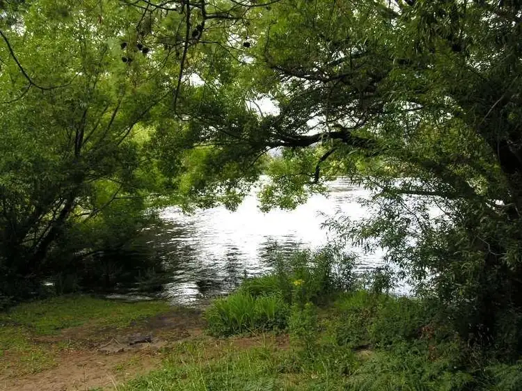 Second view of Homely house listing, 878 Glen Huon Road, Glen Huon TAS 7109