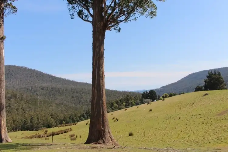 Seventh view of Homely land listing, Lot 4, 100 Crosswells Road, Pelverata TAS 7150