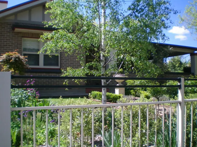 Main view of Homely house listing, 53 National Avenue, Orange NSW 2800