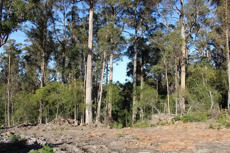 Seventh view of Homely land listing, Block at Sandhill Road, Cradoc TAS 7109
