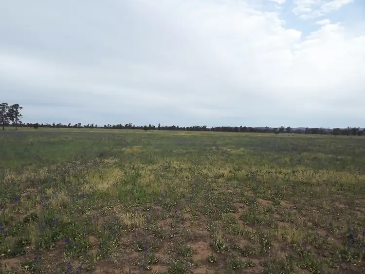 Fifth view of Homely rural property listing, Address available on request