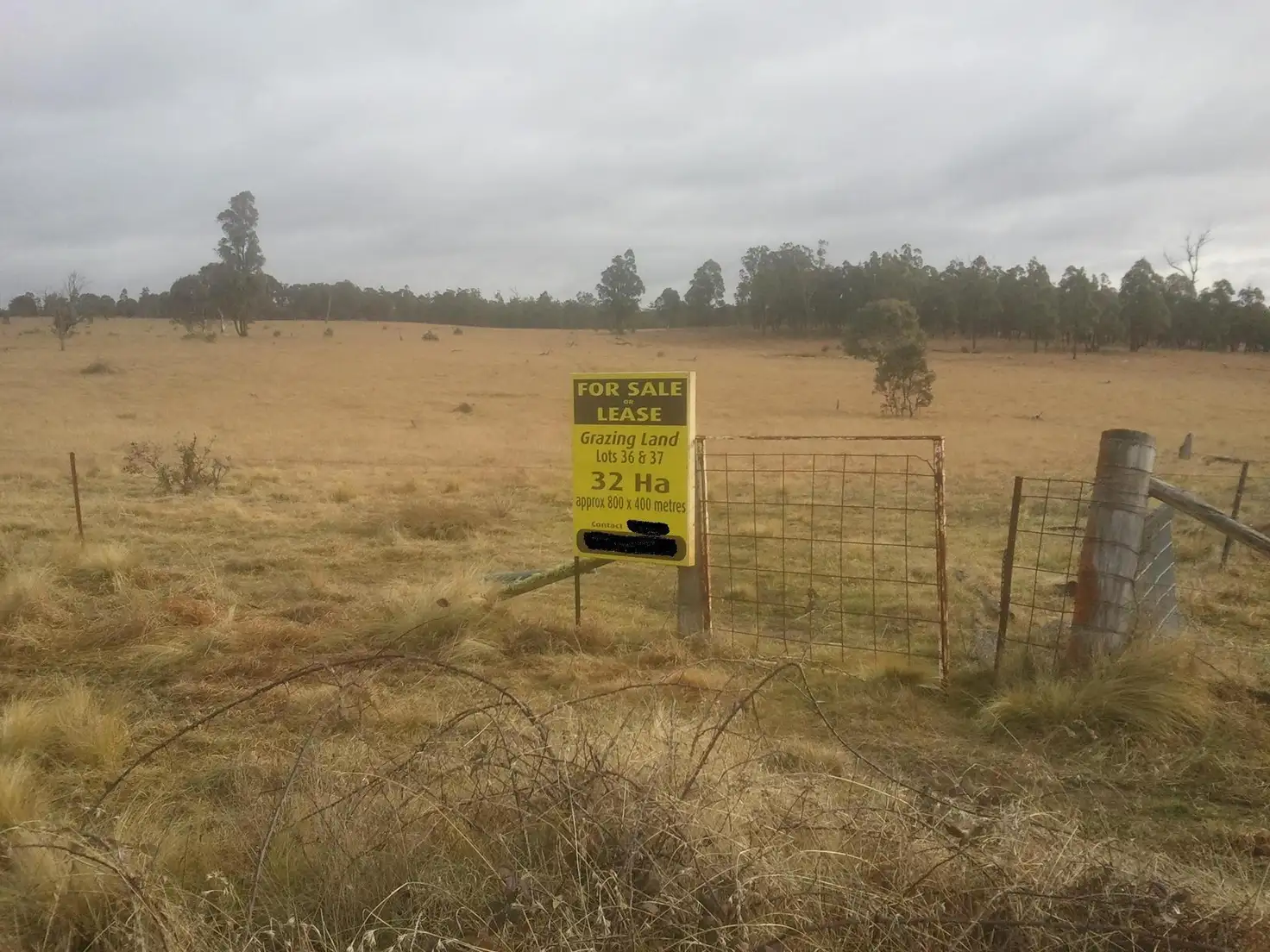 Main view of Homely rural property listing, 150 Rosevale Road, Windellama NSW 2580