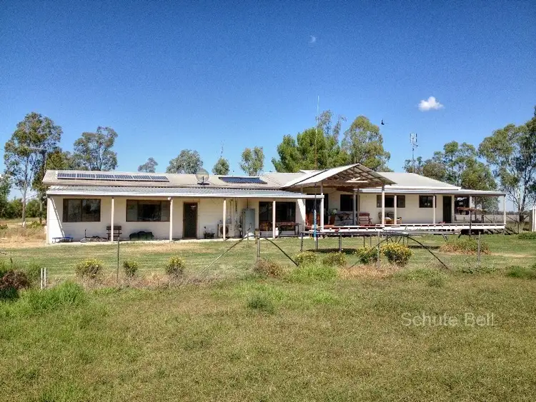 Seventh view of Homely rural property listing, . Karibu, Narromine NSW 2821