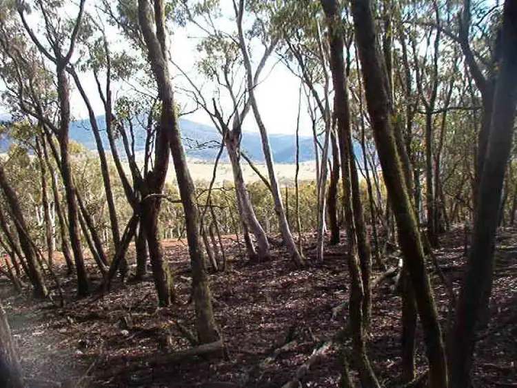 Fourth view of Homely land listing, Highview Court, Omeo VIC 3898
