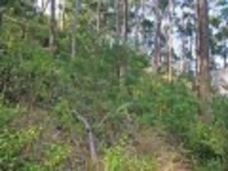 Fourth view of Homely land listing, 21 Durimbil Avenue, Wye River VIC 3221