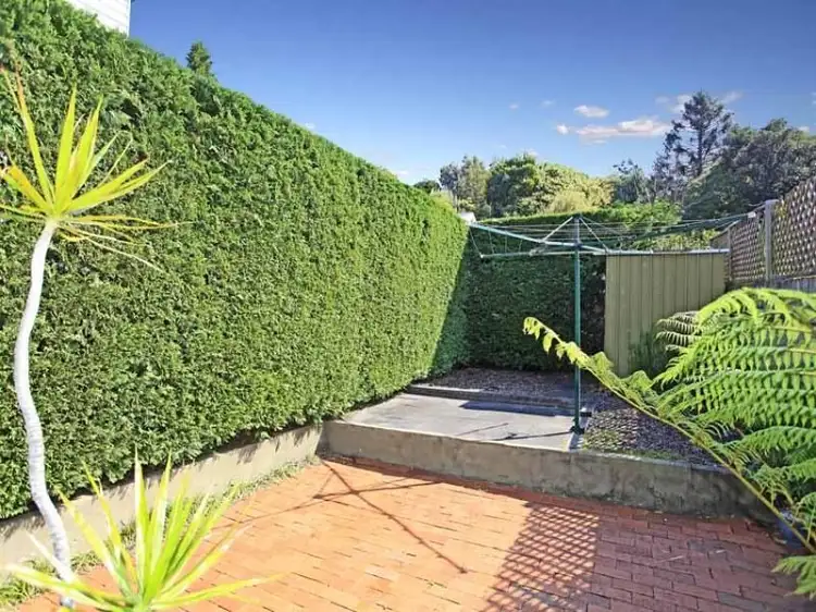 Second view of Homely semi-detached listing, 19 Smith Street, Manly NSW 2095