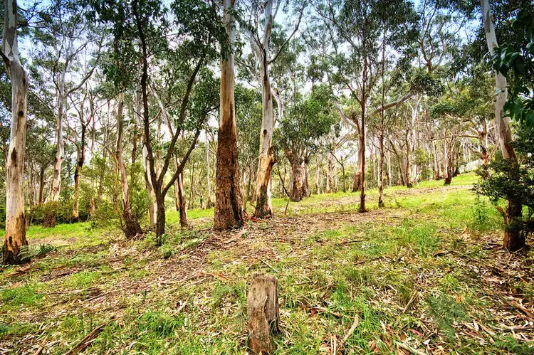 Second view of Homely land listing, 81 Old Coach Road, Skenes Creek VIC 3233
