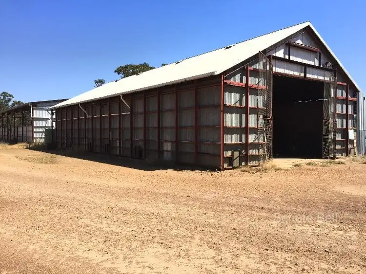 Fourth view of Homely rural property listing, . Road View, Narromine NSW 2821