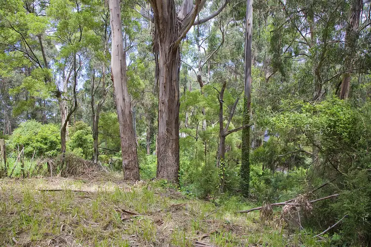 Third view of Homely land listing, 15 Karingal Drive, Wye River VIC 3221
