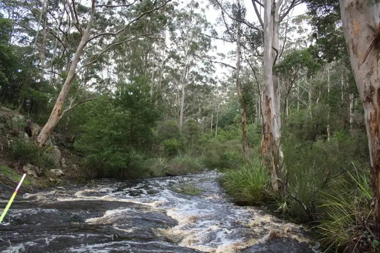 1084 Scotsdale Road, Denmark WA 6333