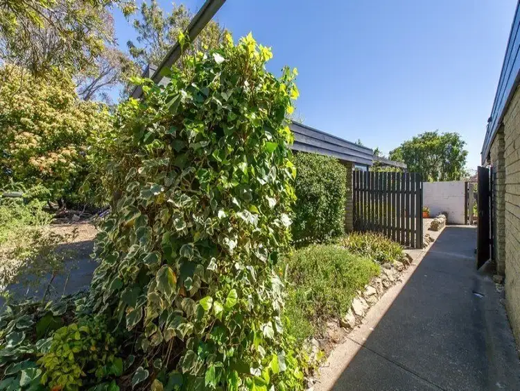 Second view of Homely house listing, 11 Duigan Place, Scullin ACT 2614
