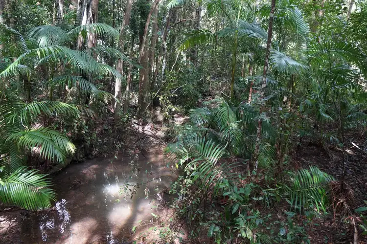 Main view of Homely land listing, 4, LOT 4, 000 Fernvale Road, Fernvale NSW 2484