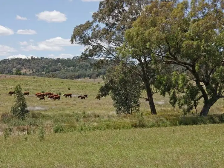 Fourth view of Homely rural property listing, Address available on request