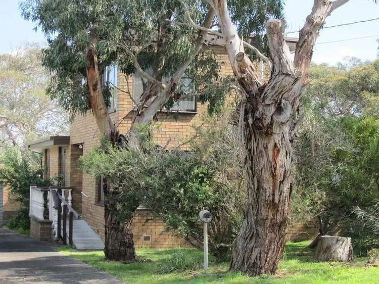 Sixth view of Homely house listing, 3 Donald Avenue, Anglesea VIC 3230