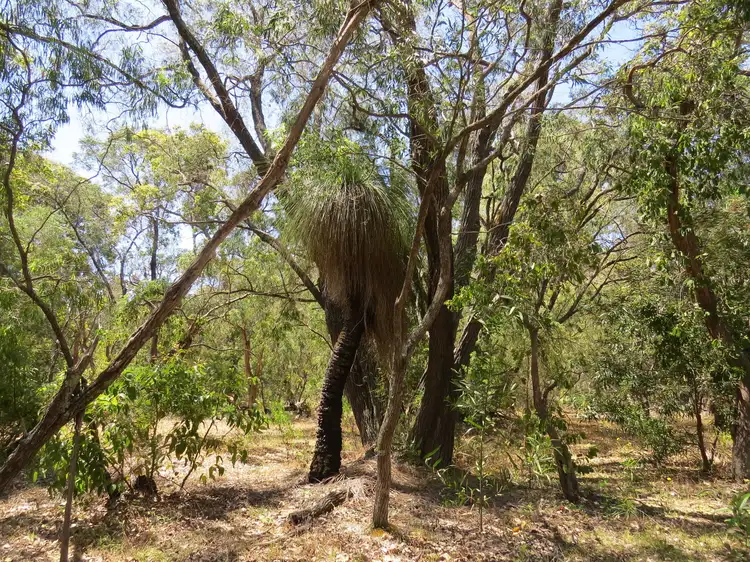 Lot 407 Okapa Rise, Dunsborough WA 6281
