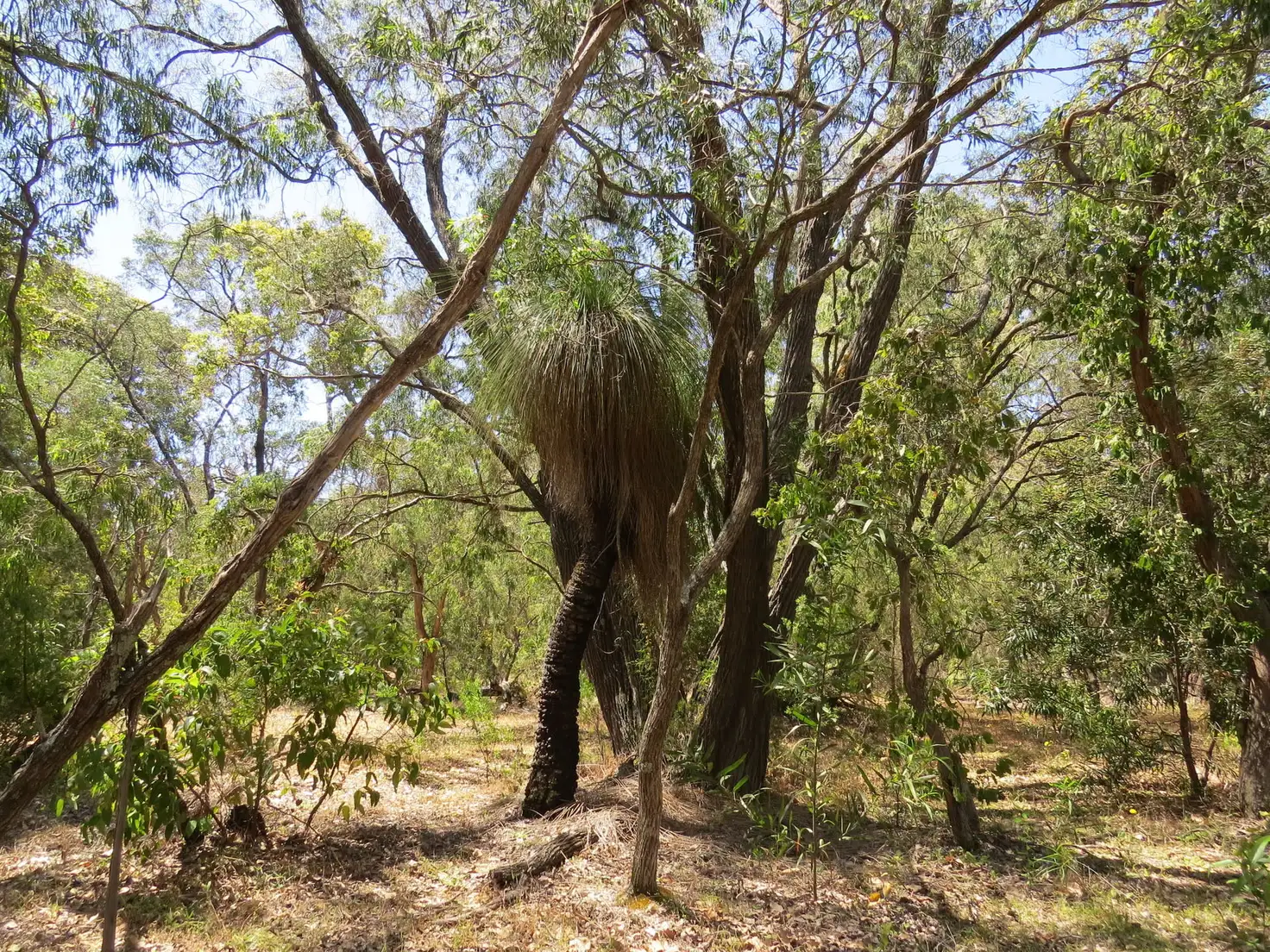 Main view of Homely land listing, Lot 407 Okapa Rise, Dunsborough WA 6281