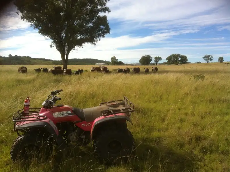 Main view of Homely rural property listing, 989 South Valley Road, Ashford NSW 2361