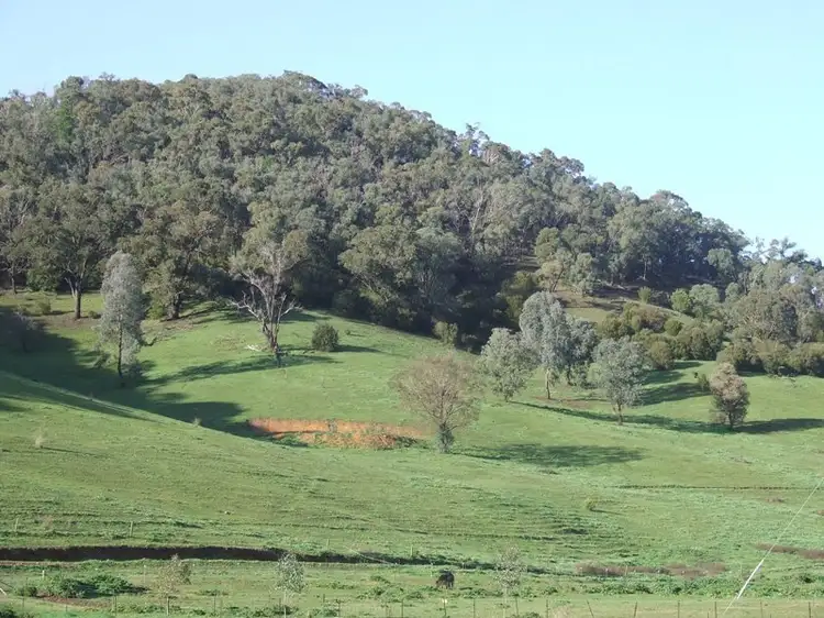 Third view of Homely rural property listing, 715 Buffalo RIver Road, Myrtleford VIC 3737