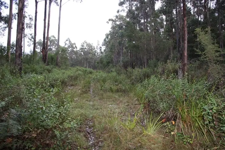 Sixth view of Homely land listing, Lot 1 Lady Bay Road, Southport TAS 7109