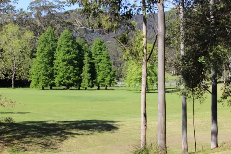 1577 Dooralong Road, Lemon Tree NSW 2259