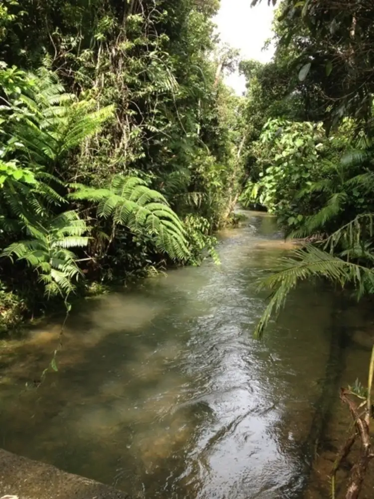 Fourth view of Homely house listing, Lot 1 Whing Creek Road, Shell Pocket QLD 4855