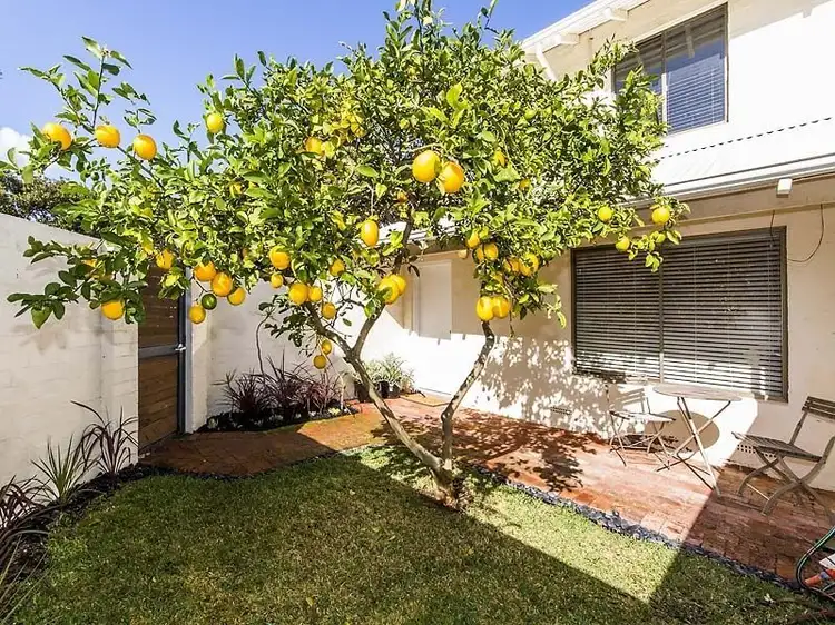 10/17 Princes Street, Cottesloe WA 6011