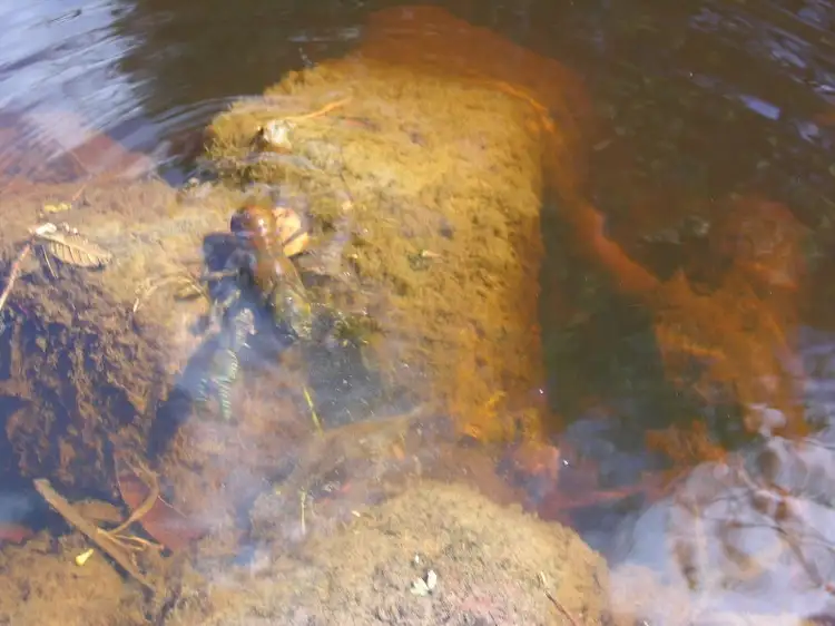 Fourth view of Homely land listing, 7736 Huon Highway, Strathblane TAS 7109