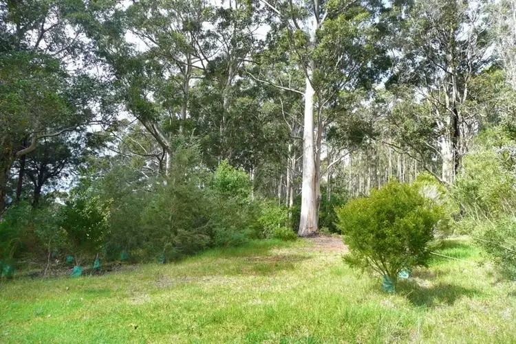 Third view of Homely land listing, 58 Cussons Road, Denmark WA 6333