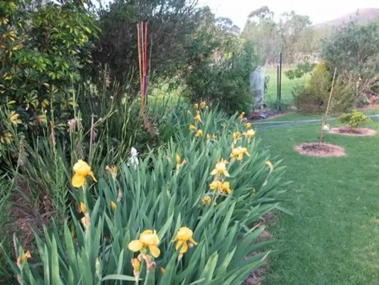 Fifth view of Homely house listing, 35 Roach Street, Killarney QLD 4373