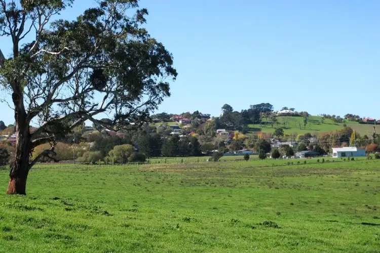 Second view of Homely land listing, 160 Forest Reefs Road, Millthorpe NSW 2798