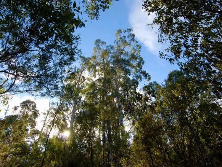 Second view of Homely land listing, 153 Groombridges Road, Kettering TAS 7155