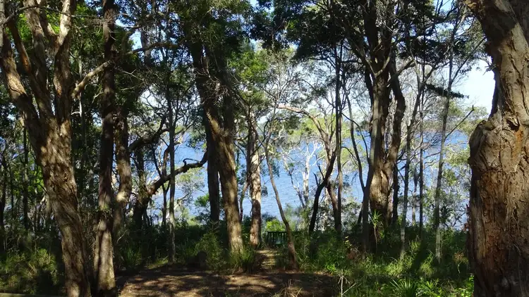 Main view of Homely house listing, 7/259 Eumarella Road, Weyba Downs QLD 4562