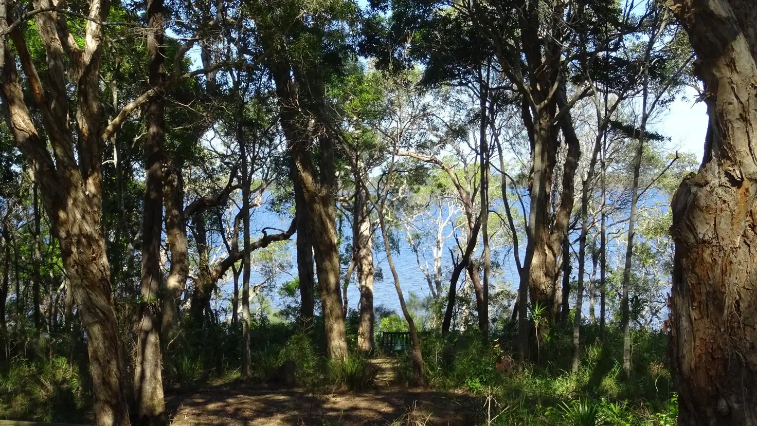 Main view of Homely house listing, 7/259 Eumarella Road, Weyba Downs QLD 4562
