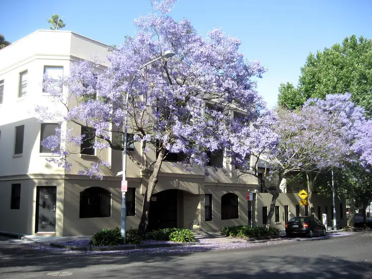 Main view of Homely studio listing, 9/173 Cathedral Street, Woolloomooloo NSW 2011