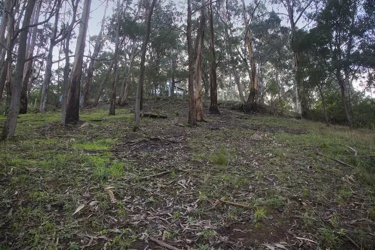 Third view of Homely land listing, 18 Karingal Drive, Wye River VIC 3221