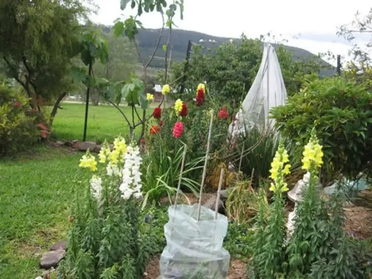 Fourth view of Homely house listing, 35 Roach Street, Killarney QLD 4373