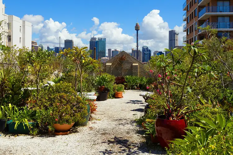Fourth view of Homely studio listing, 3/18 Springfield Avenue, Potts Point NSW 2011