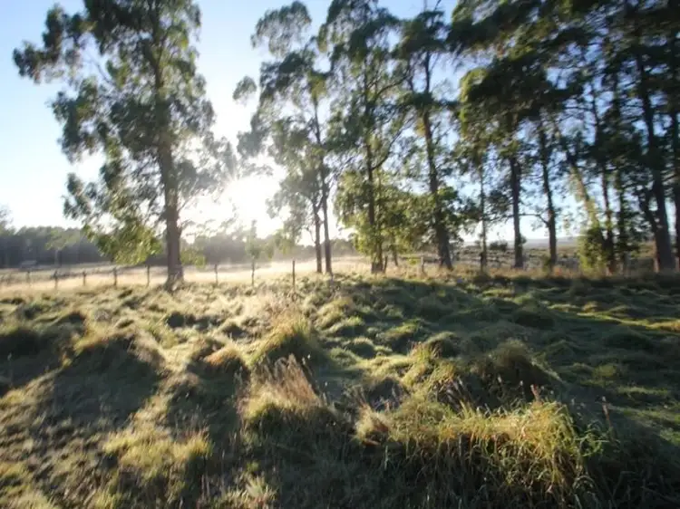 Sixth view of Homely rural property listing, 217 Dixons Road, Christmas Hills TAS 7330