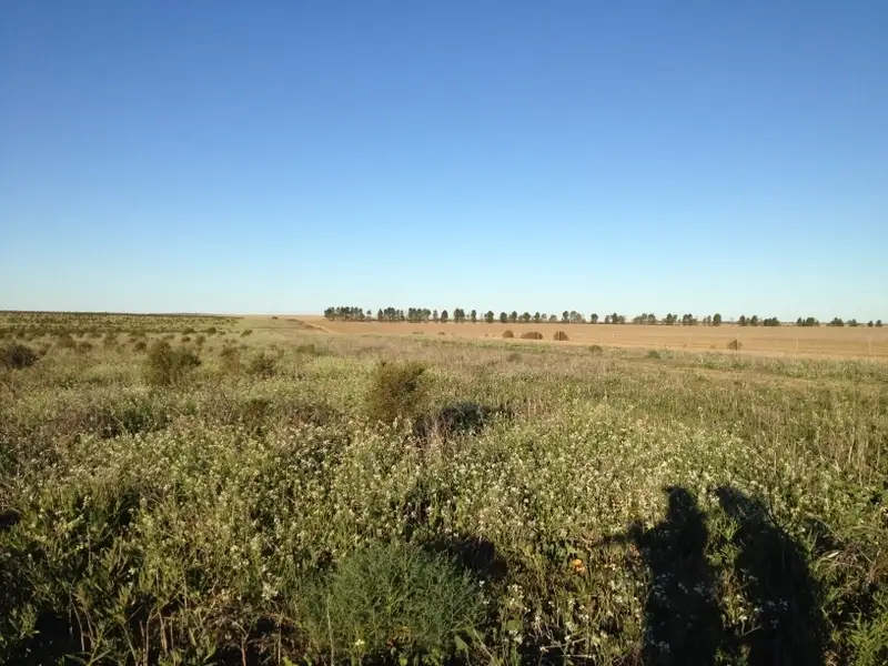 Main view of Homely rural property listing, Nil Northern end of Valentine Road, Nabawa WA 6532