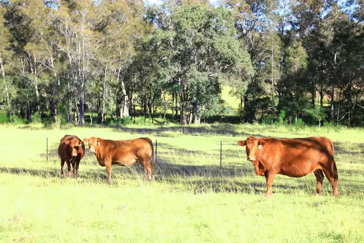 Second view of Homely land listing, Lot 503 Roscrea Drive (130, Mulgoa NSW 2745