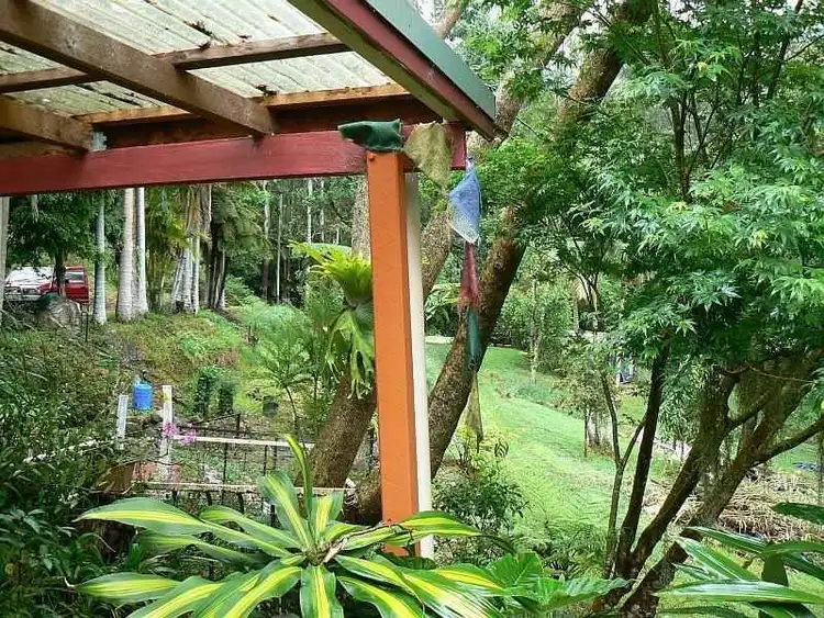 Seventh view of Homely rural property listing, 443 Upper Wilsons Creek, Wilsons Creek NSW 2482