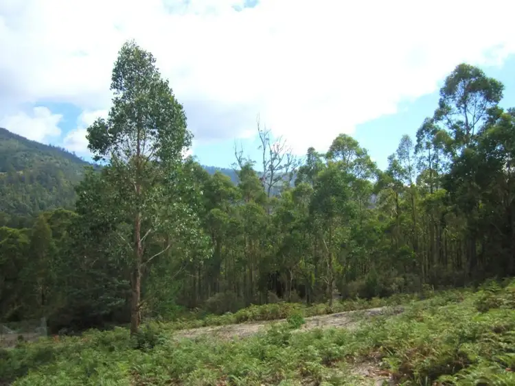 Sixth view of Homely land listing, Lot 2 Off Pelverata Road, Pelverata TAS 7150