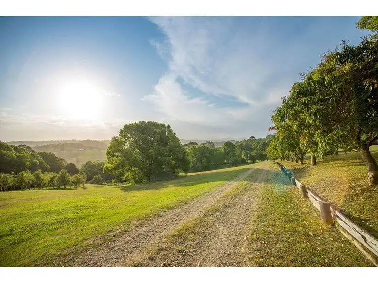 Third view of Homely rural property listing, 360 Friday Hut Road, Possum Creek NSW 2479