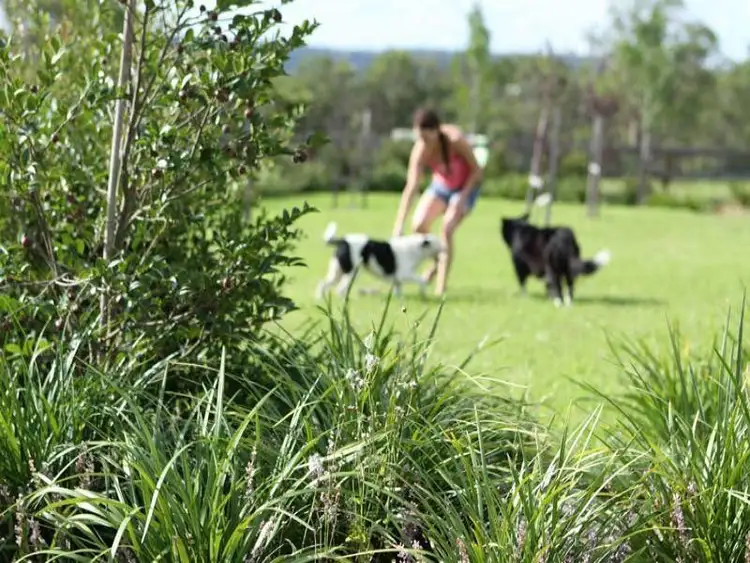 Sixth view of Homely land listing, Lot 49 Bingara Gorge, Wilton NSW 2571