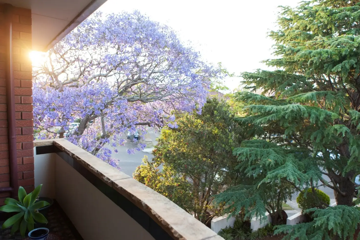 Main view of Homely apartment listing, 7/7 Chandos Street, Ashfield NSW 2131