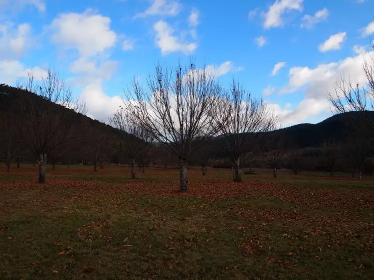 Third view of Homely land listing, Lot 55A Growlers Creek Road, Wandiligong VIC 3744