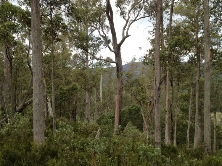 Fourth view of Homely land listing, Halls Track Road, Pelverata TAS 7150